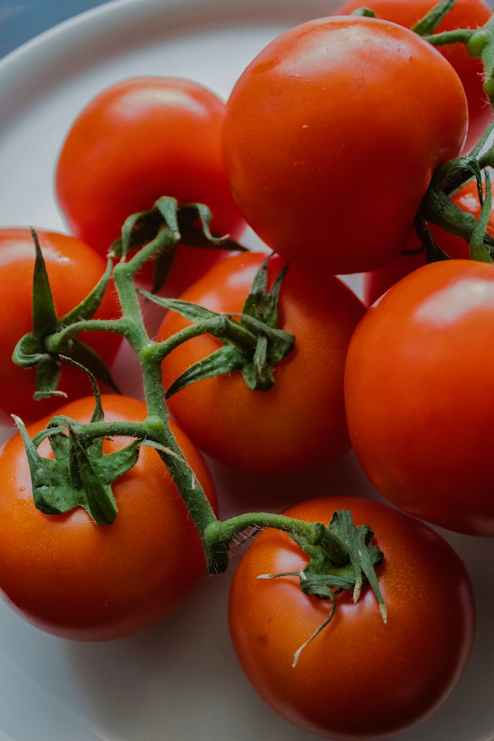 a bunch of tomatoes on a white plate