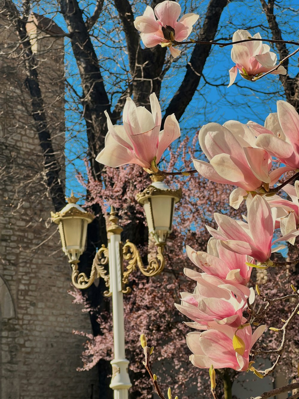 a street light with pink flowers on it