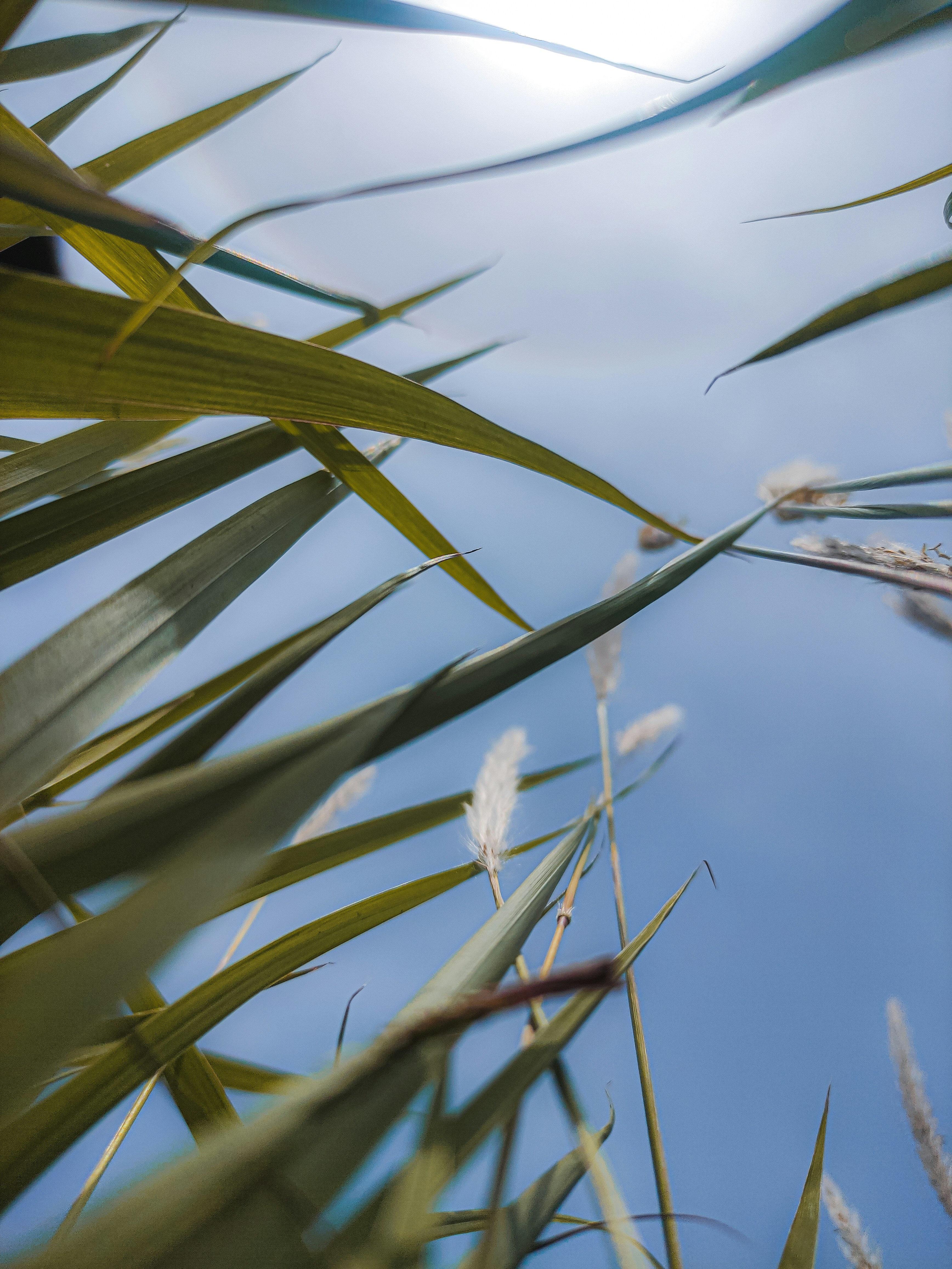 Photo by jalalphotography