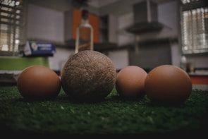 Fresh eggs and creamy coconut arranged on a rustic wooden table with tropical leaves.
