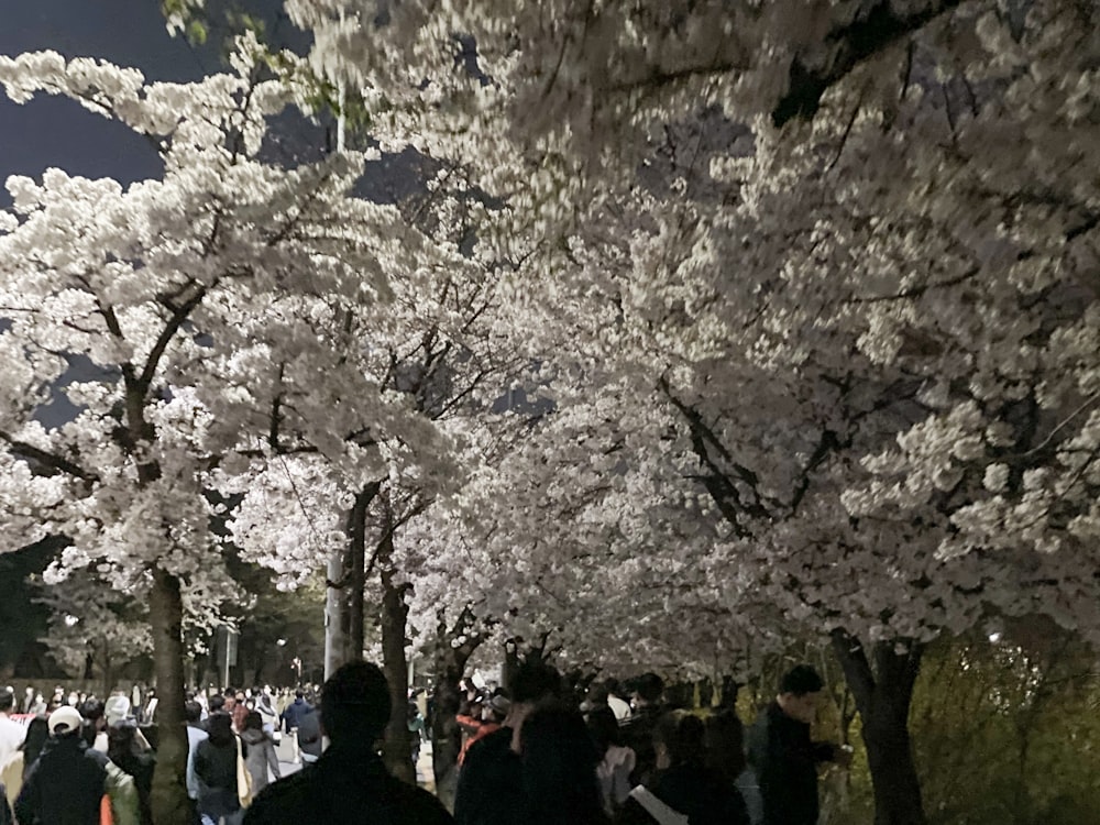 a group of people walking down a street next to trees