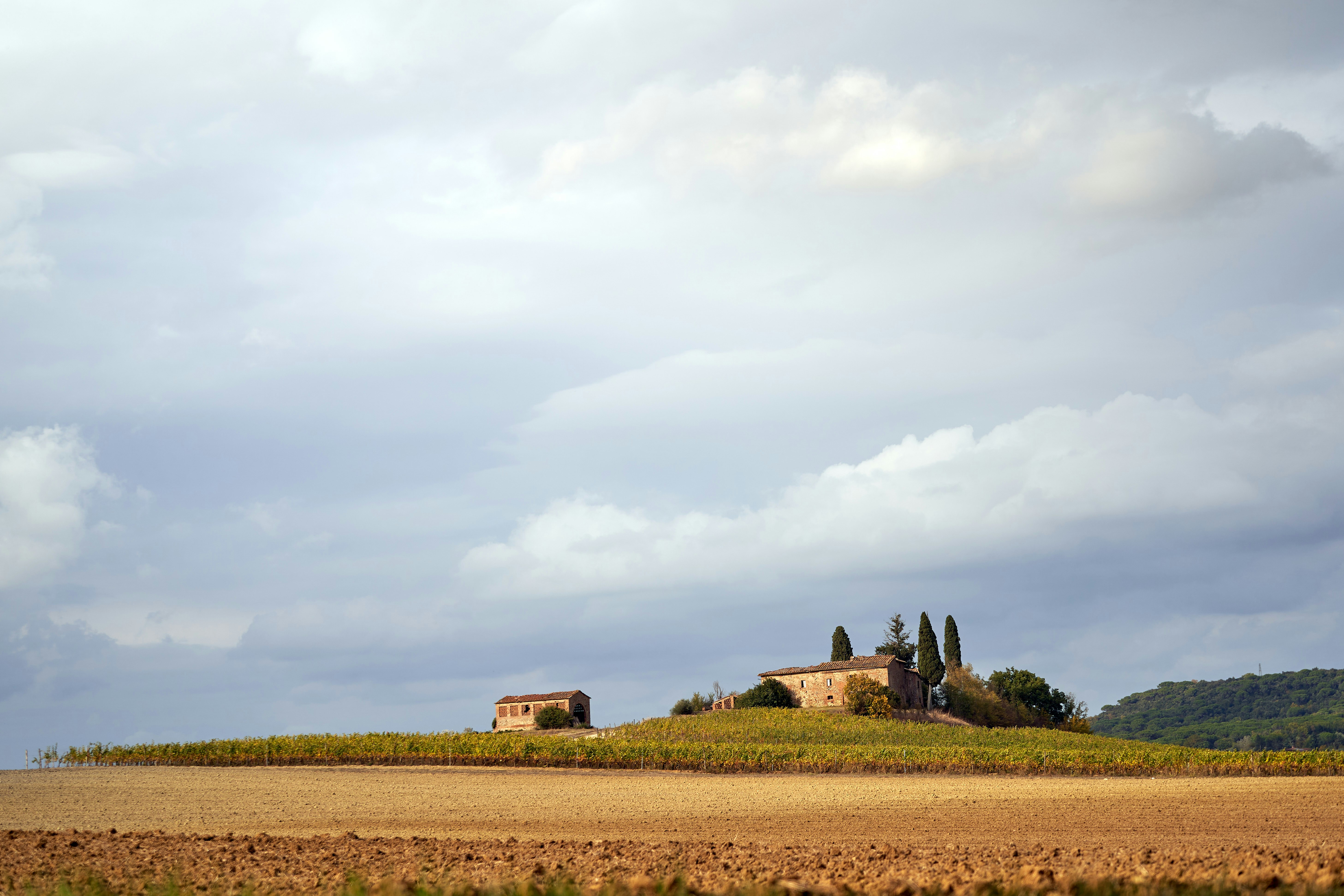 Photo by wolfgang_hasselmann