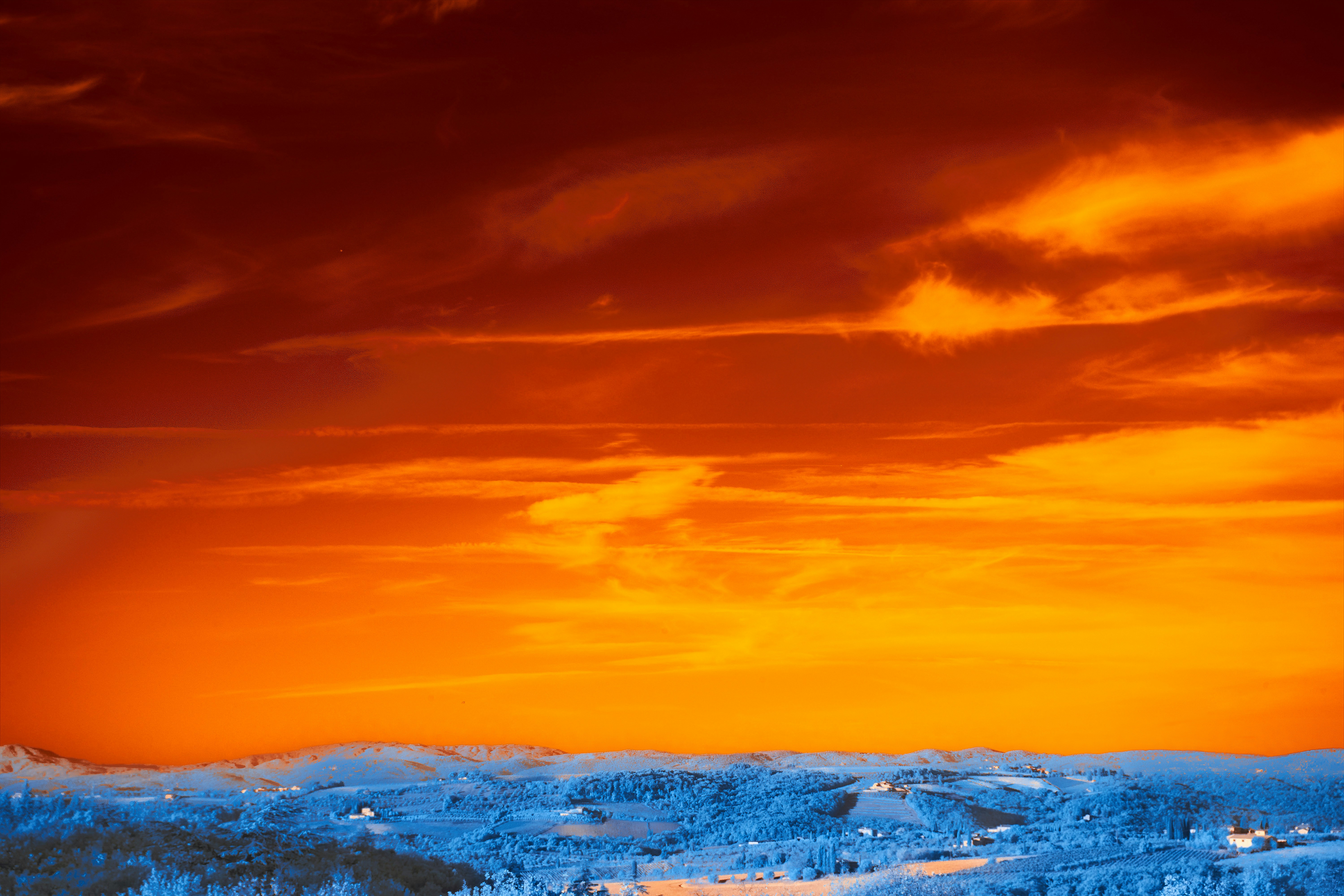 Photo by wolfgang_hasselmann