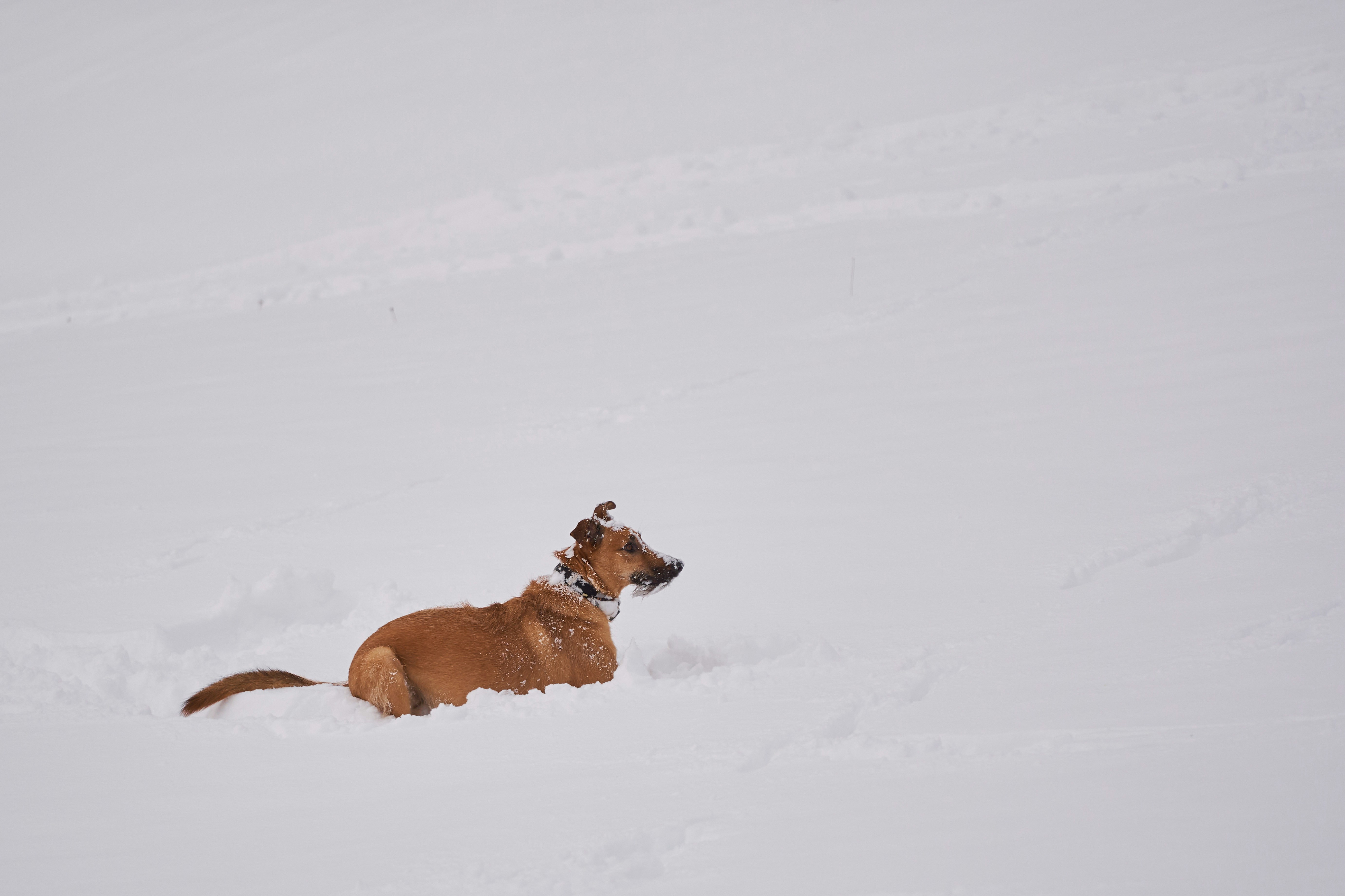 Photo by wolfgang_hasselmann