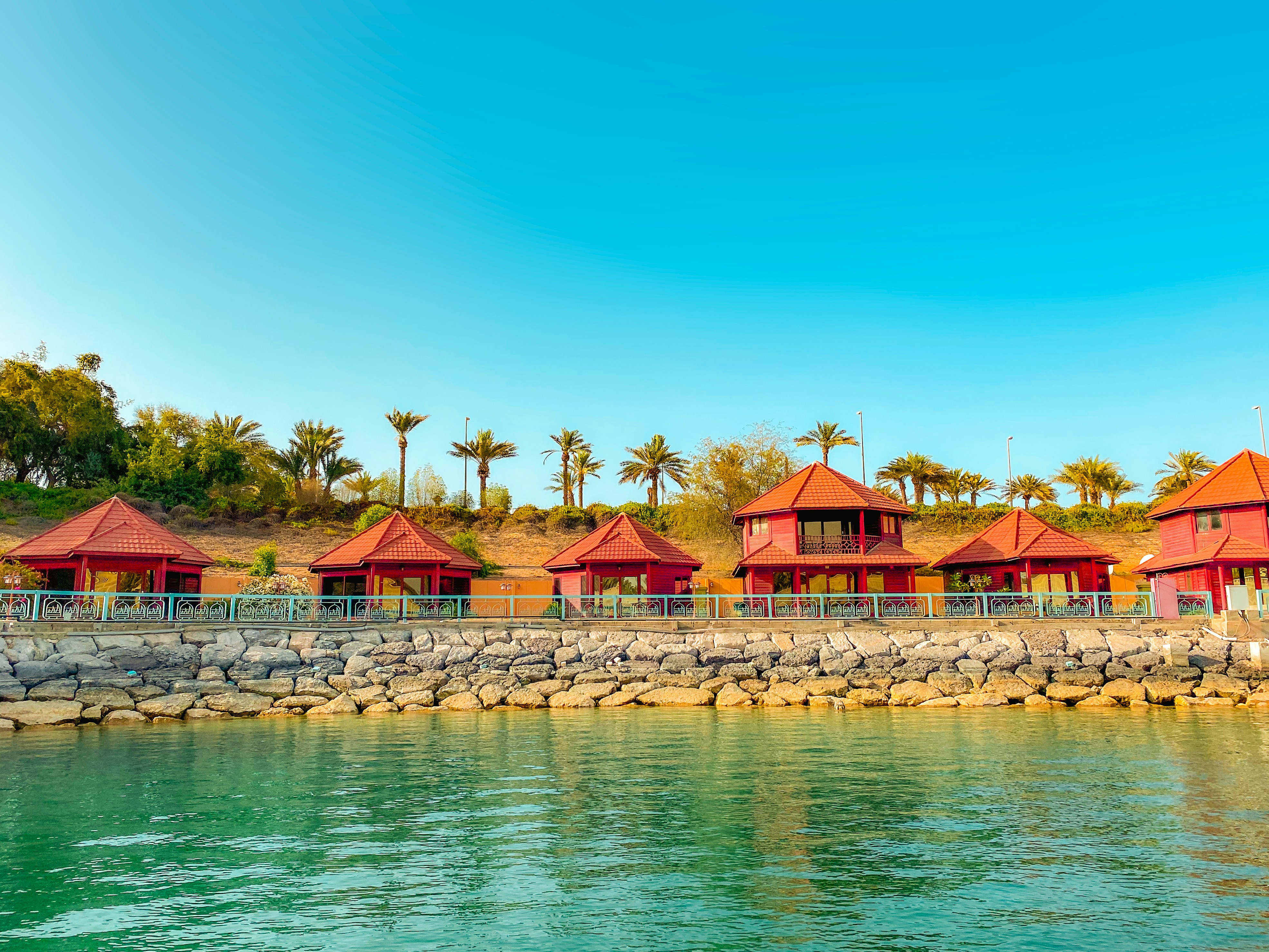 Photo by your_scorpion