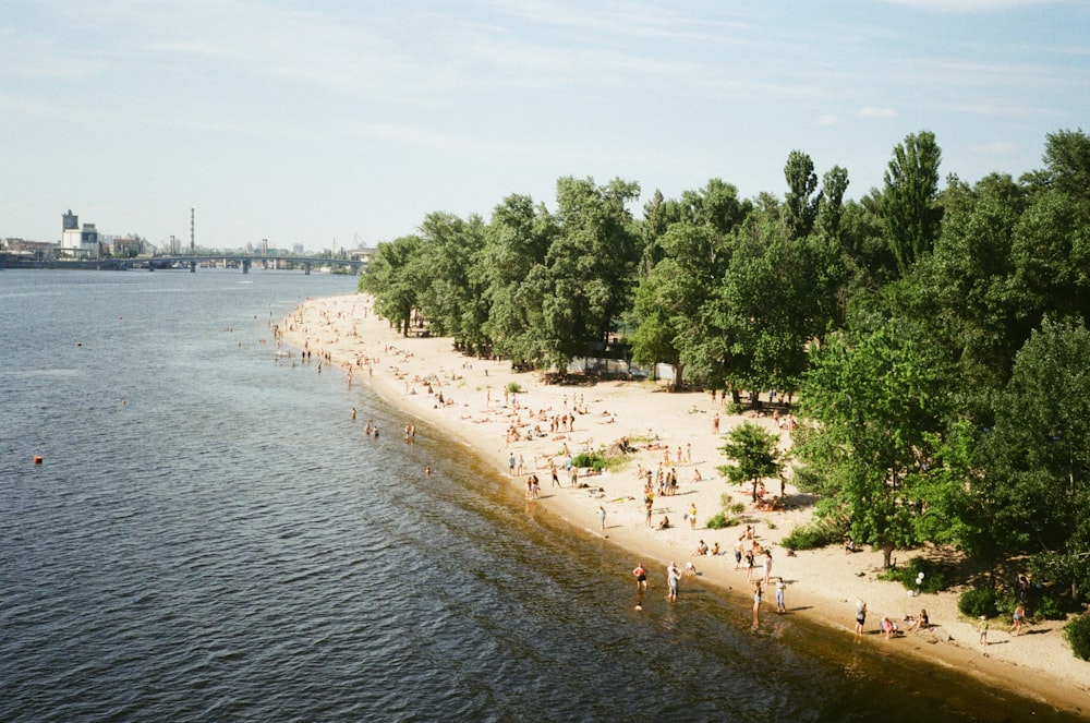 a group of people on a beach near a body of water