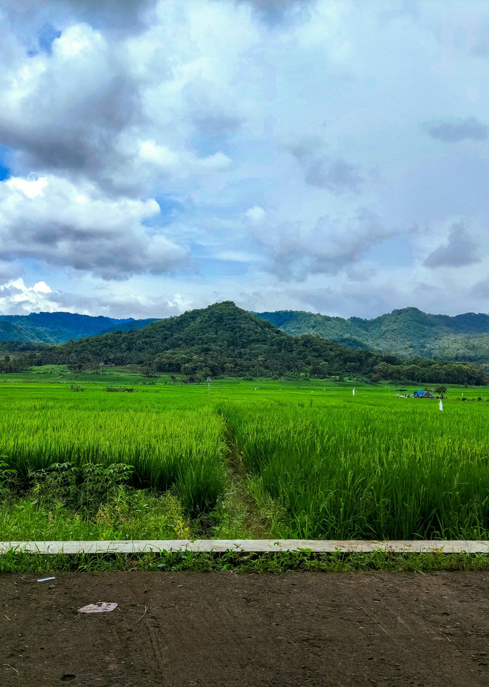 a lush green field with mountains in the background