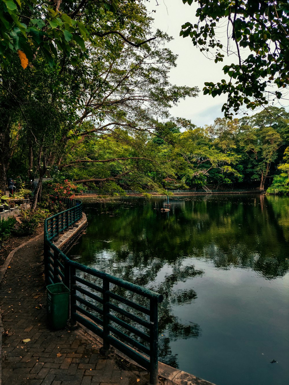 a pond surrounded by trees and a fence