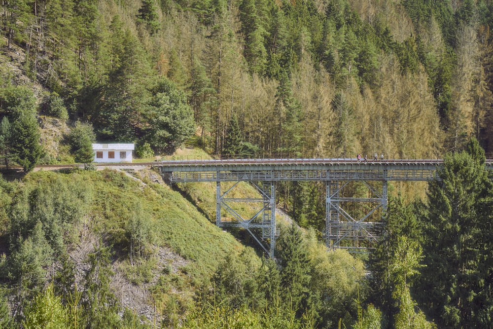 a train traveling over a bridge over a lush green forest