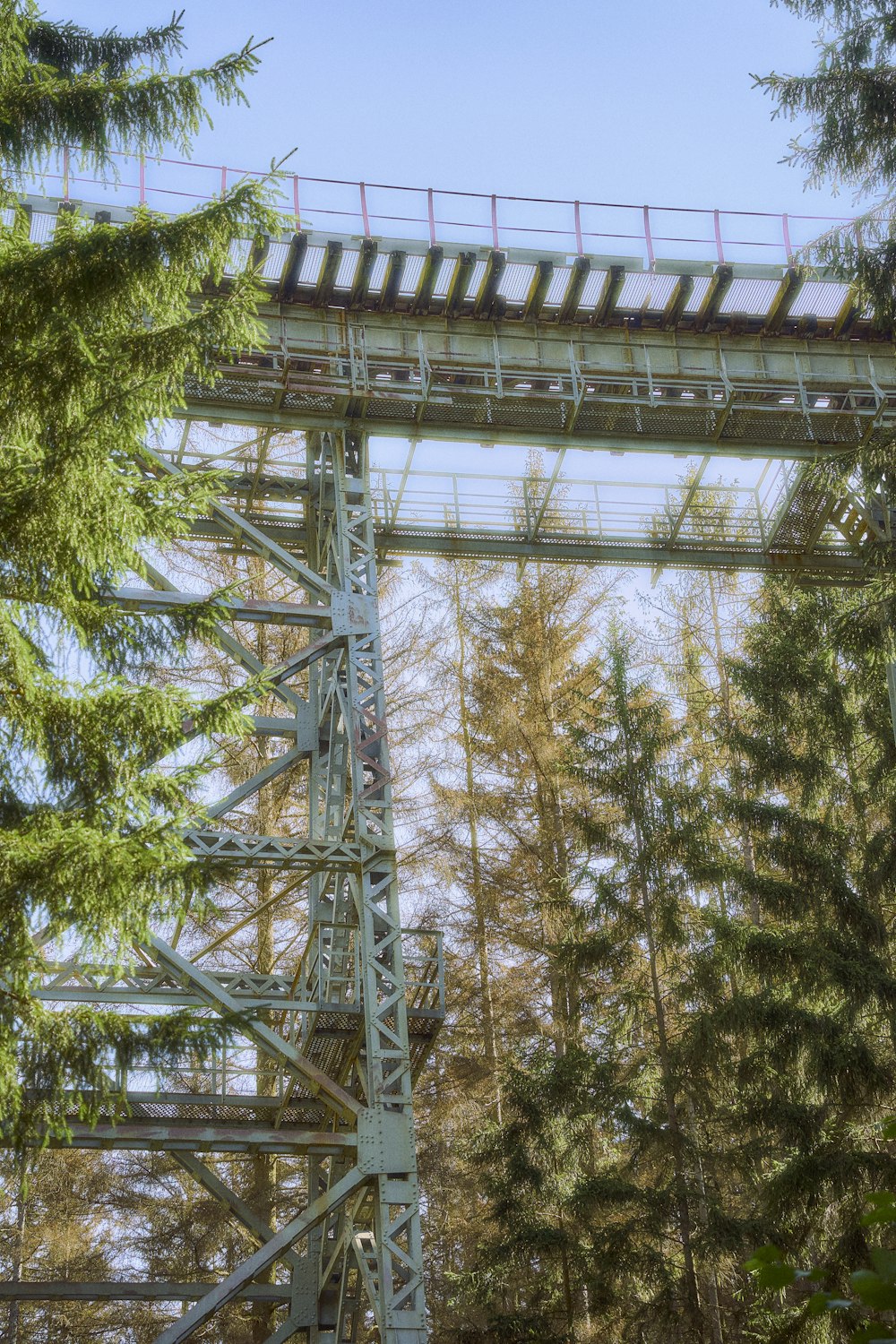 a train going over a bridge in the woods