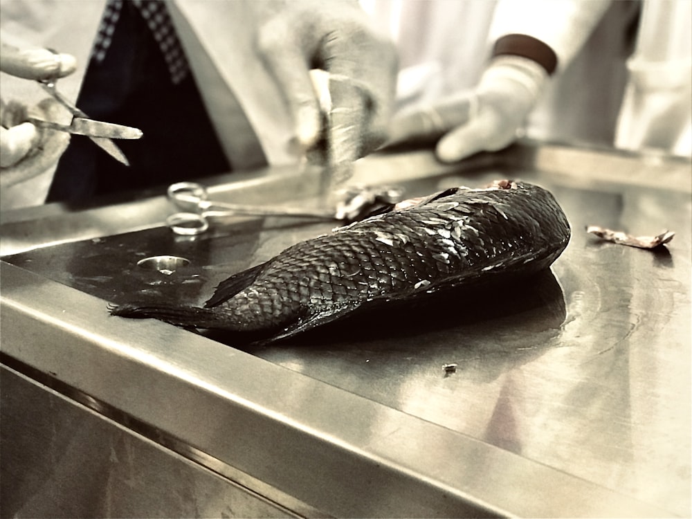 a person in white gloves cutting a fish on a counter