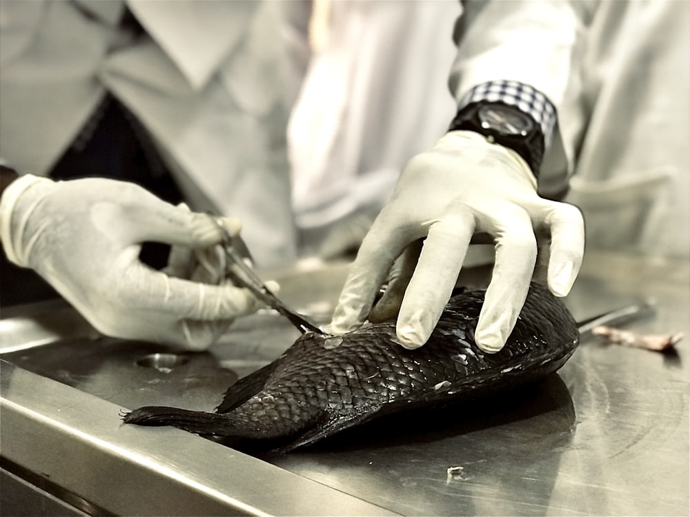 a person in white gloves cutting a fish