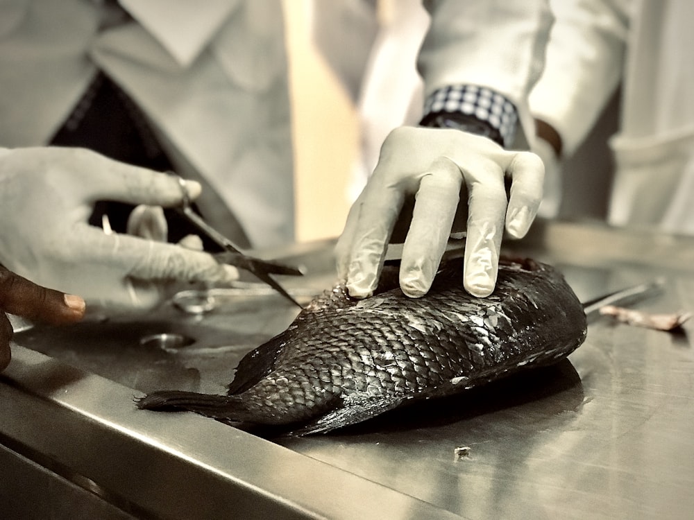 a person in white gloves cutting up a fish