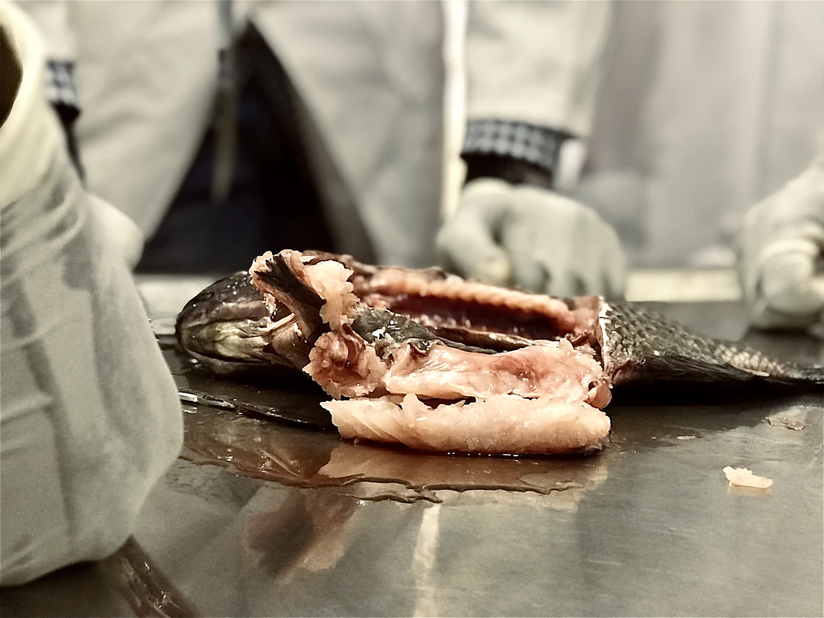 Eliminate Post-Surgery Follow-Up Gaps at Vet Clinics in 2026