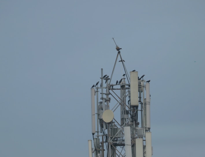 a tower with a lot of birds sitting on top of it