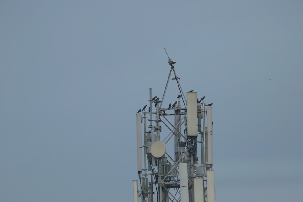 Una torre con un sacco di uccelli seduti sopra di esso