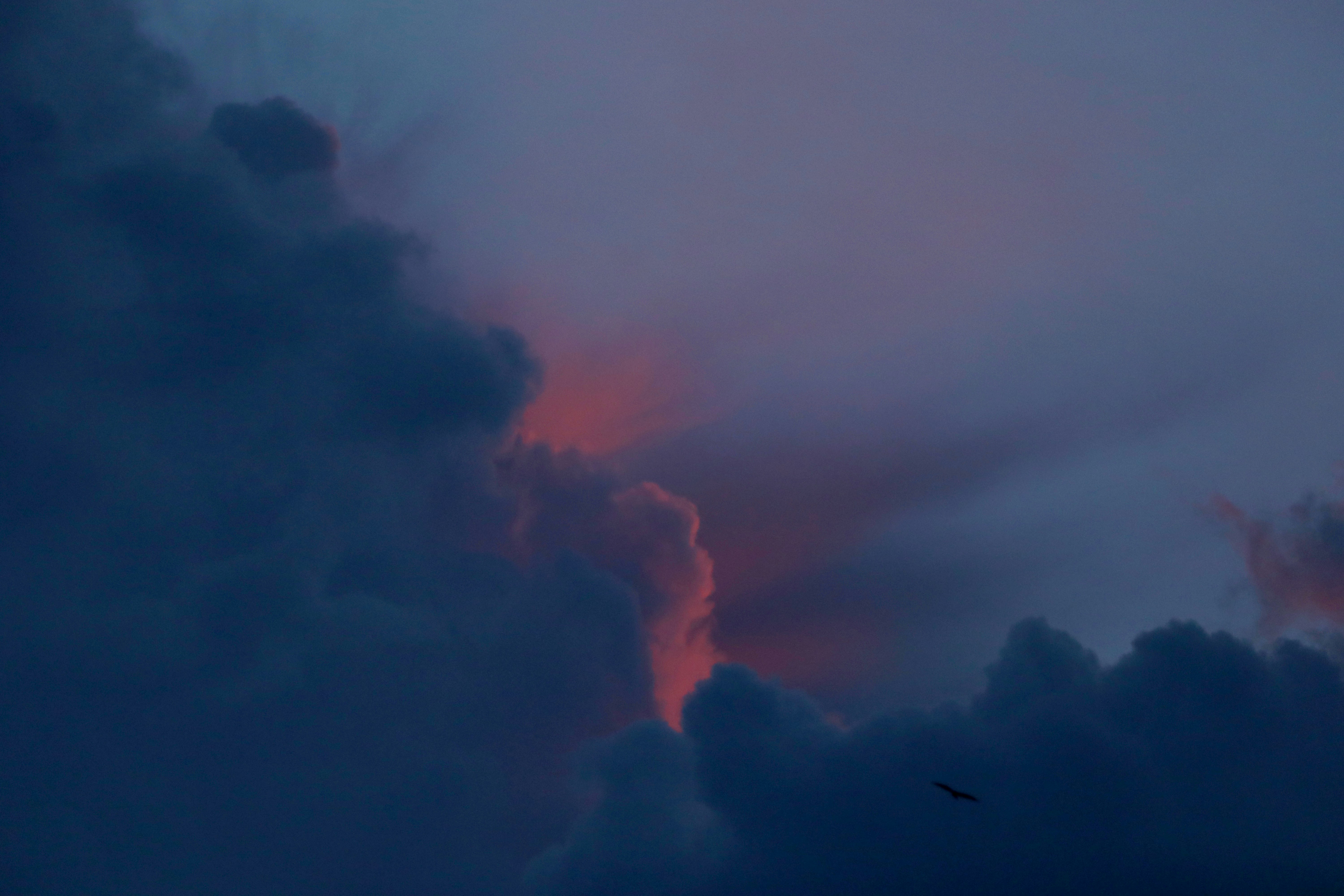 The Global Mystery Tour (image credits: unsplash)