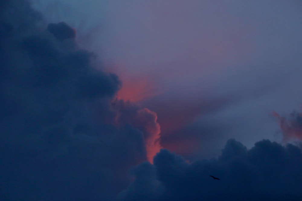 a bird flying through a cloudy sky at dusk