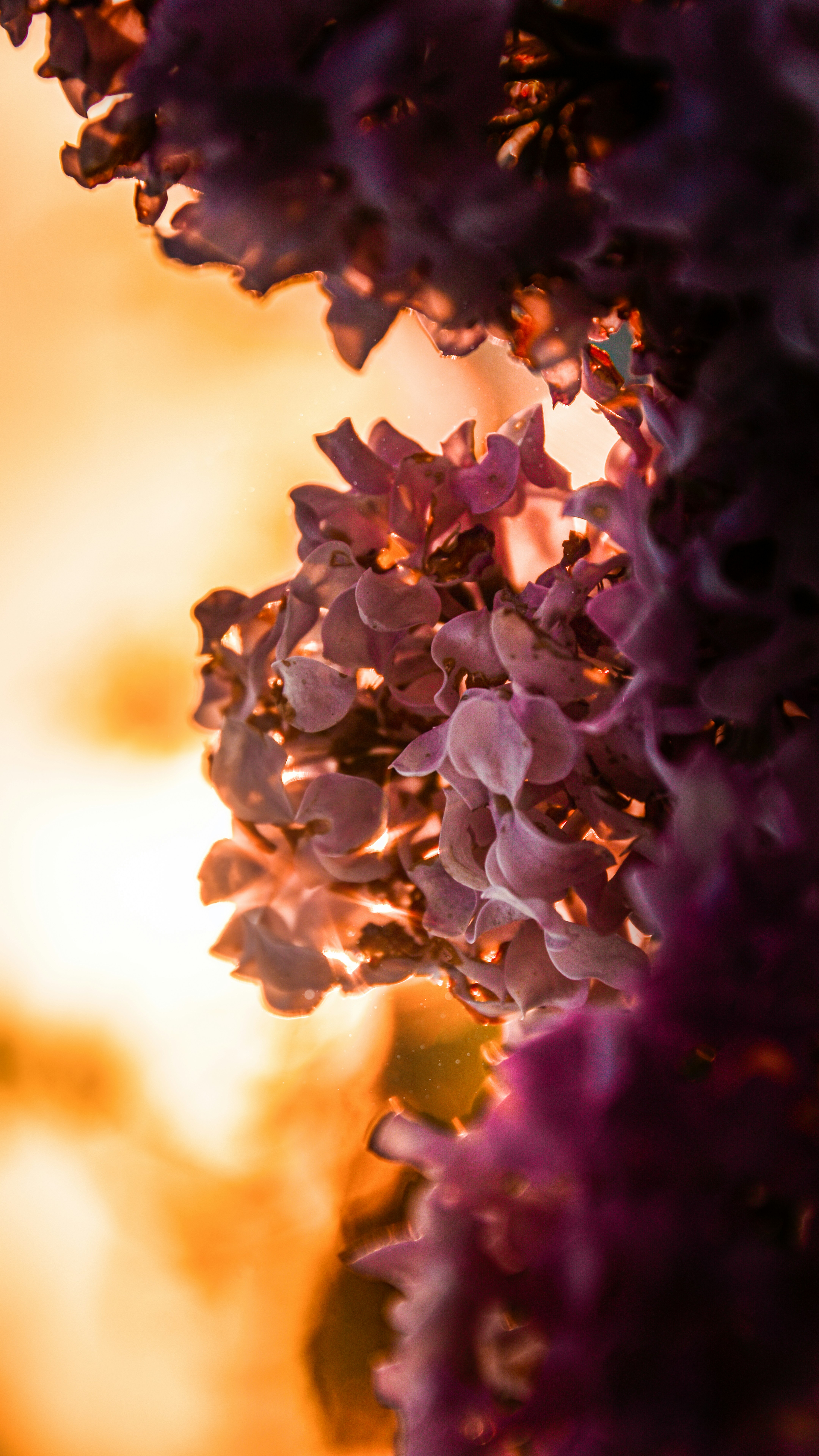 Photo by impermanent