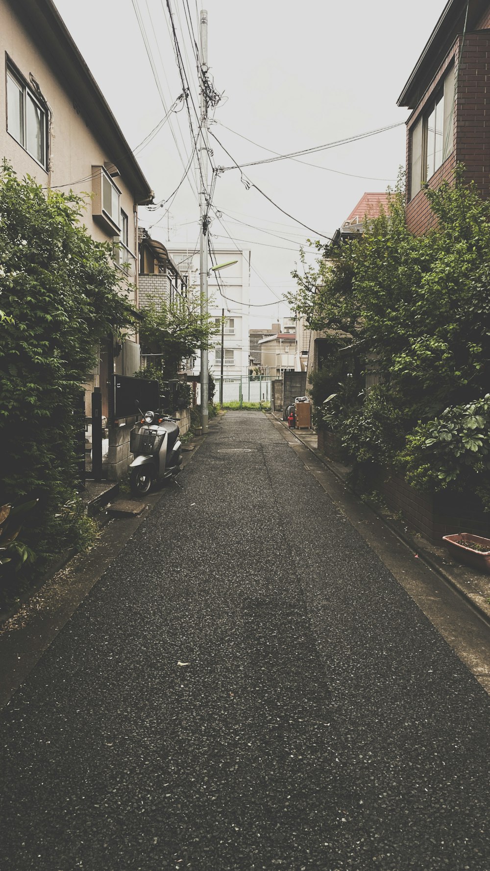 an empty street with power lines above it