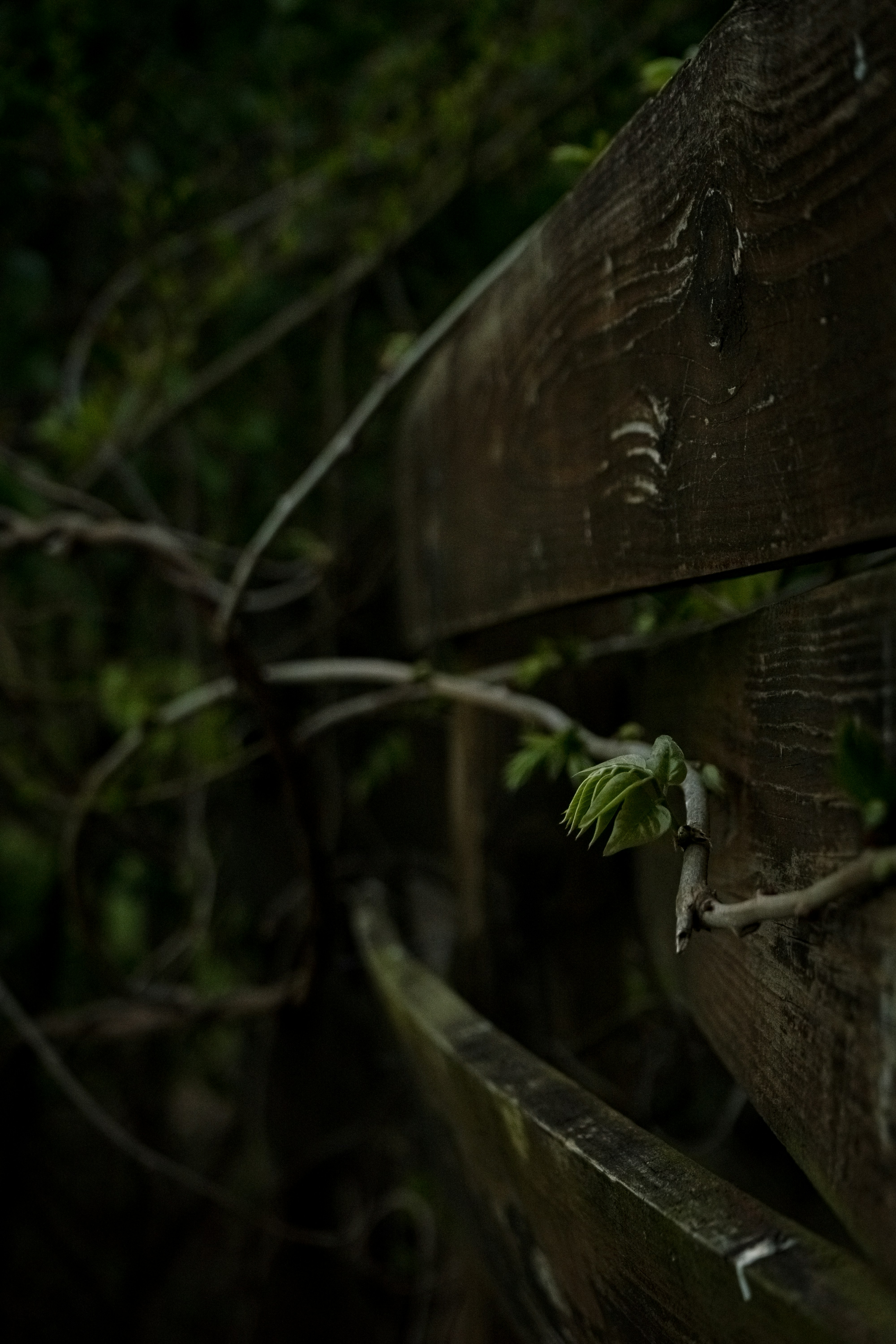 Photo by dylan_michaud