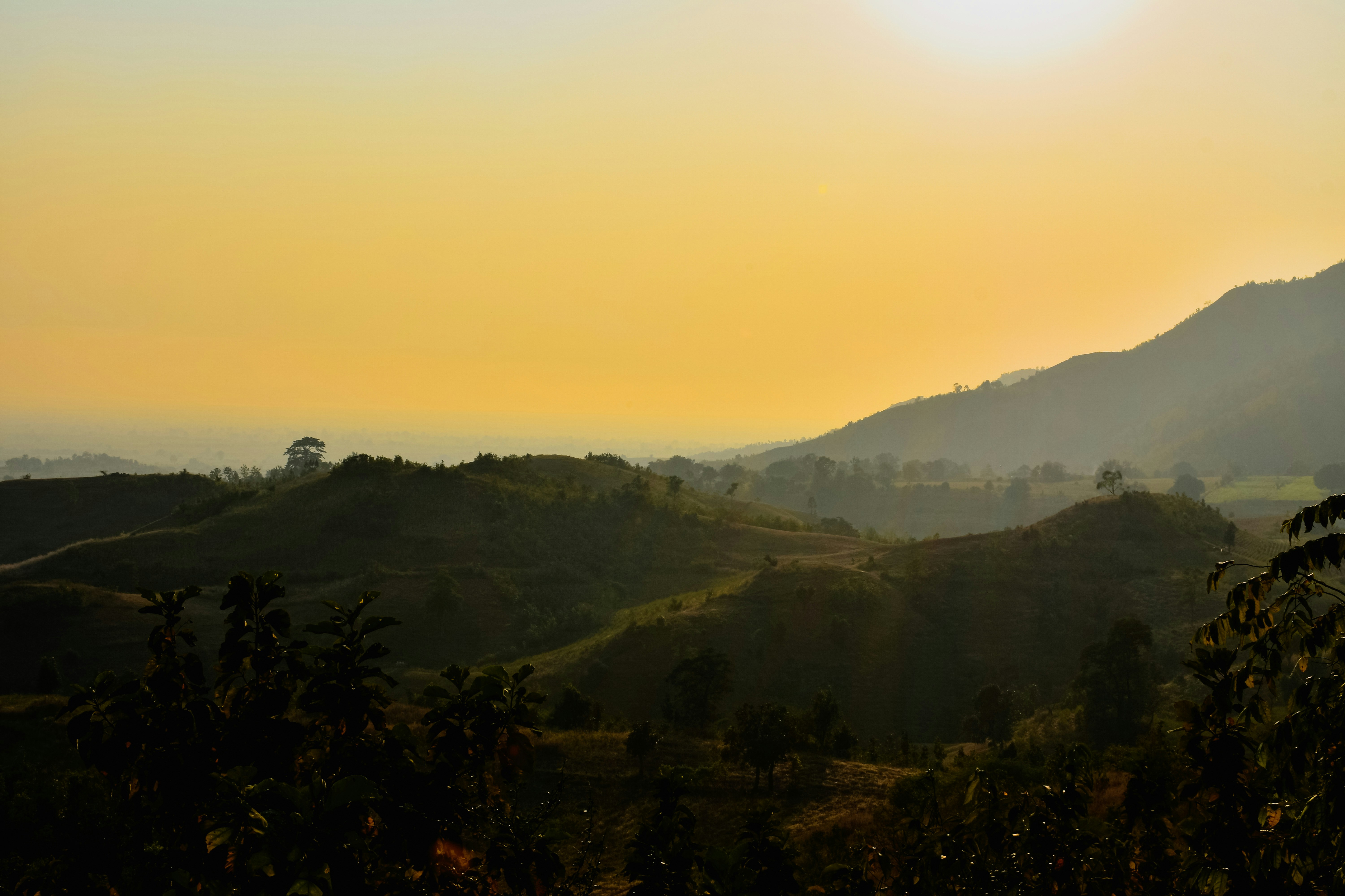 Photo by atomsmasher