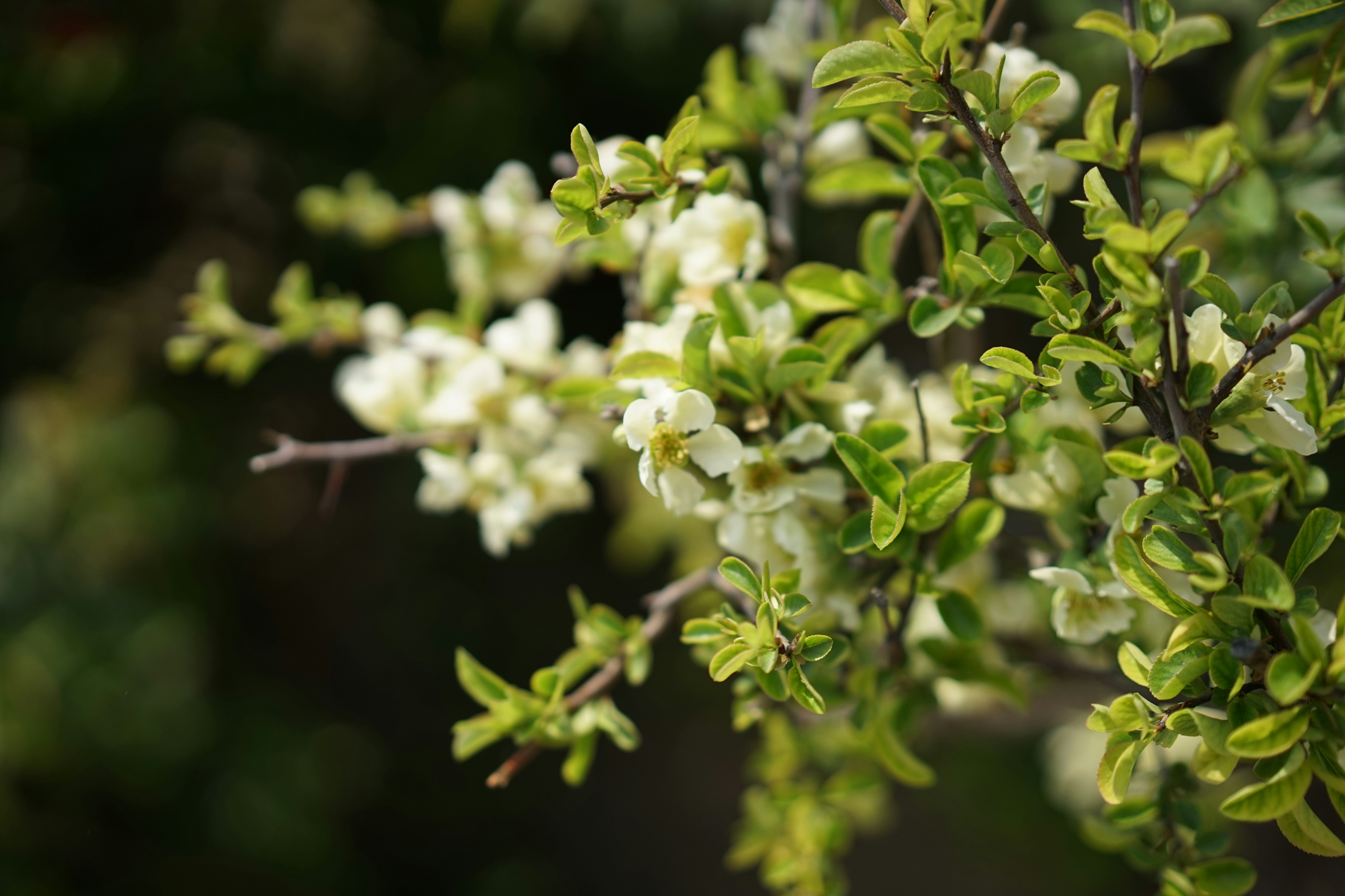 Photo by xiaoyulifish