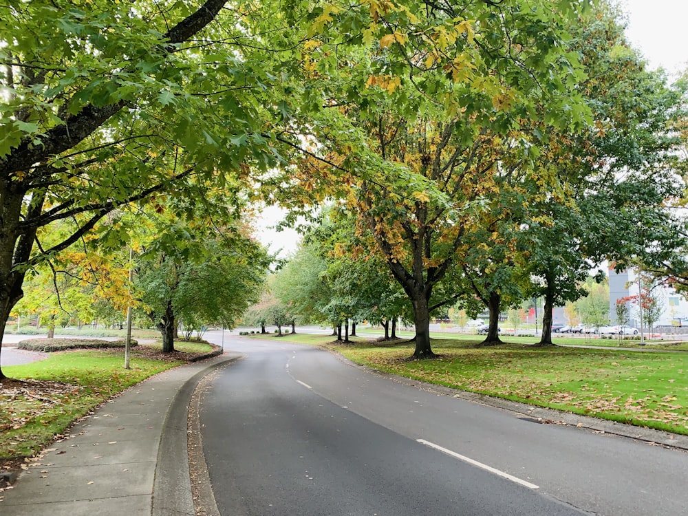 a street lined with trees and grass next to a park