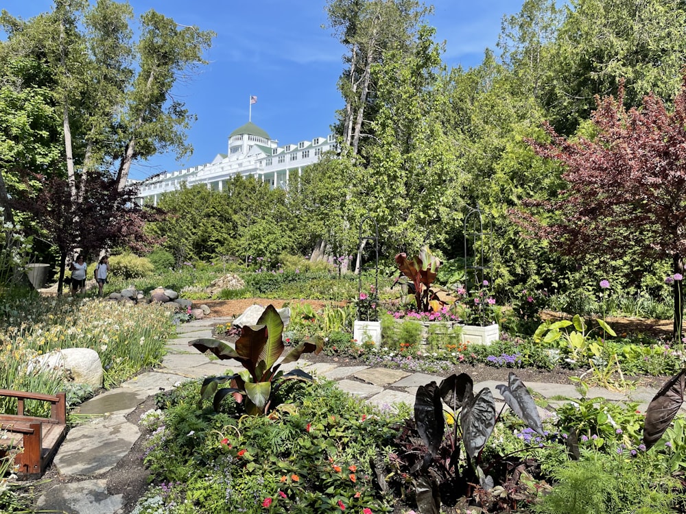 a garden filled with lots of different types of plants