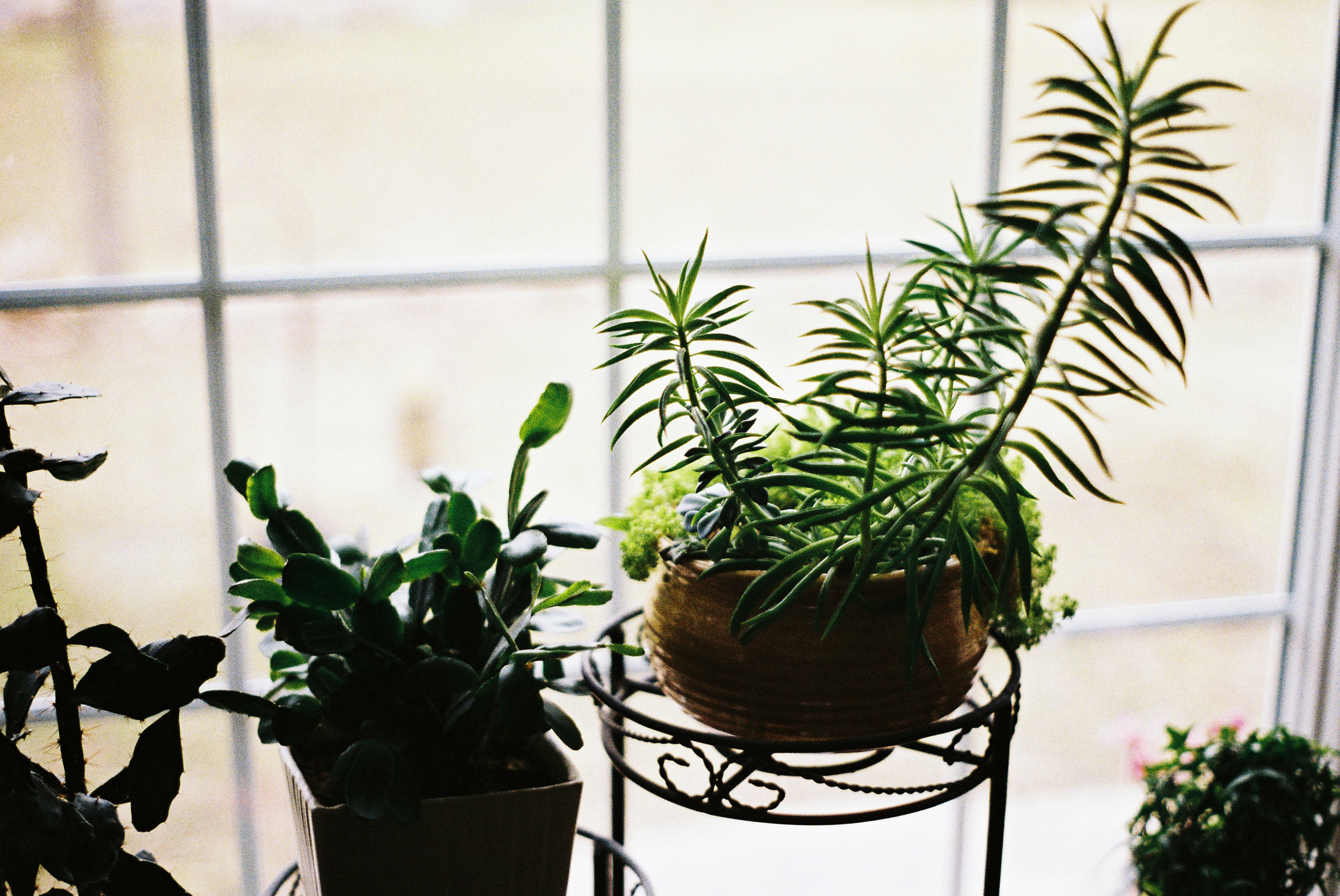 Photo by lukeschlanderer