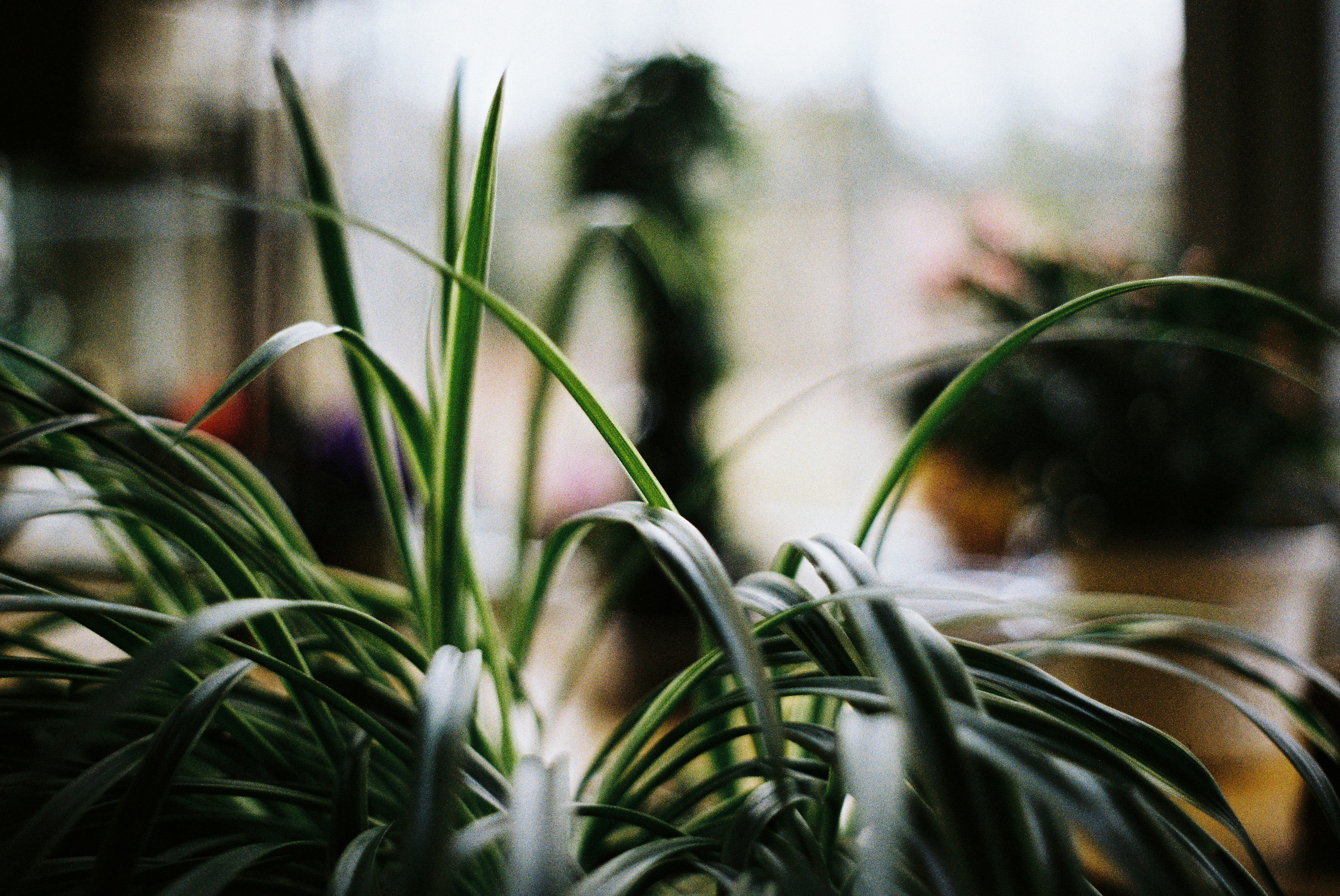 Photo by lukeschlanderer