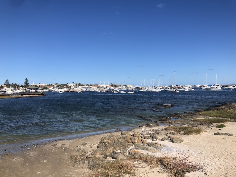 a body of water with a bunch of boats in it