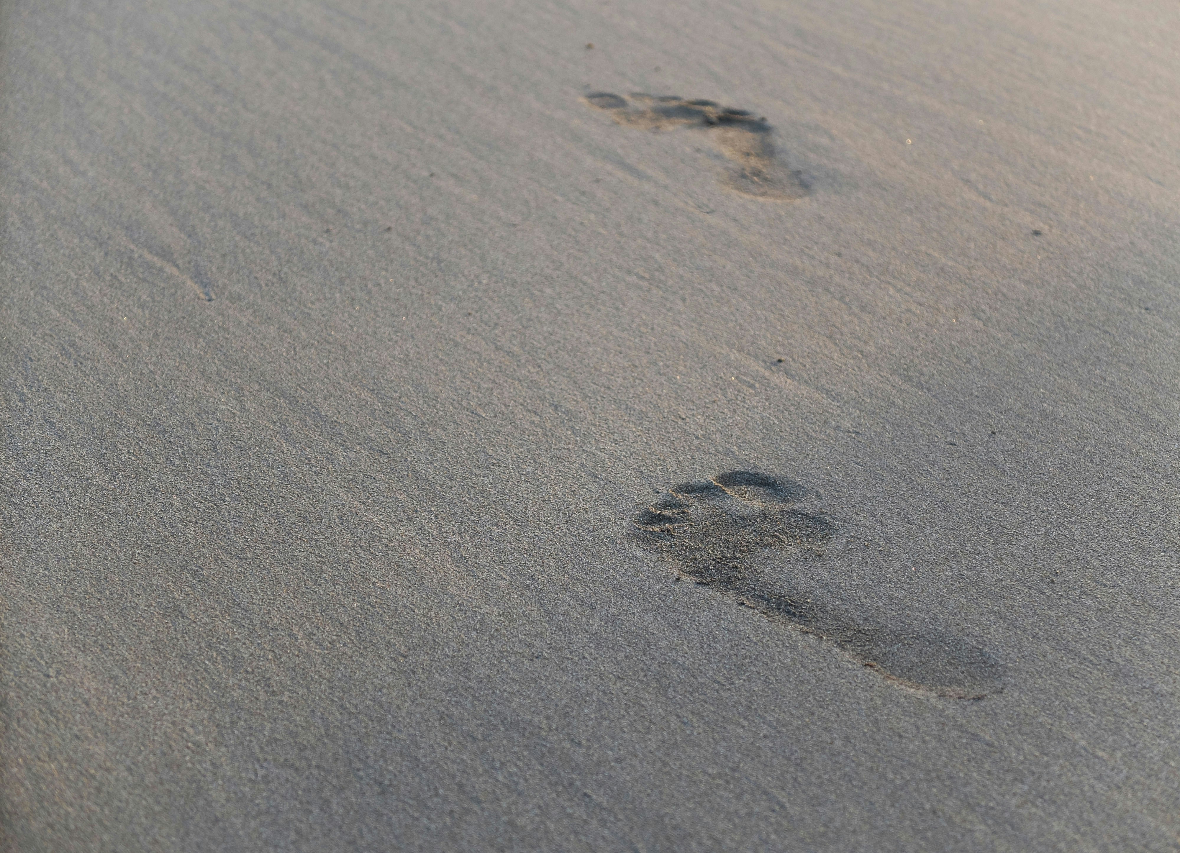 Photo by cristianmayo