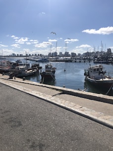 a group of boats that are sitting in the water