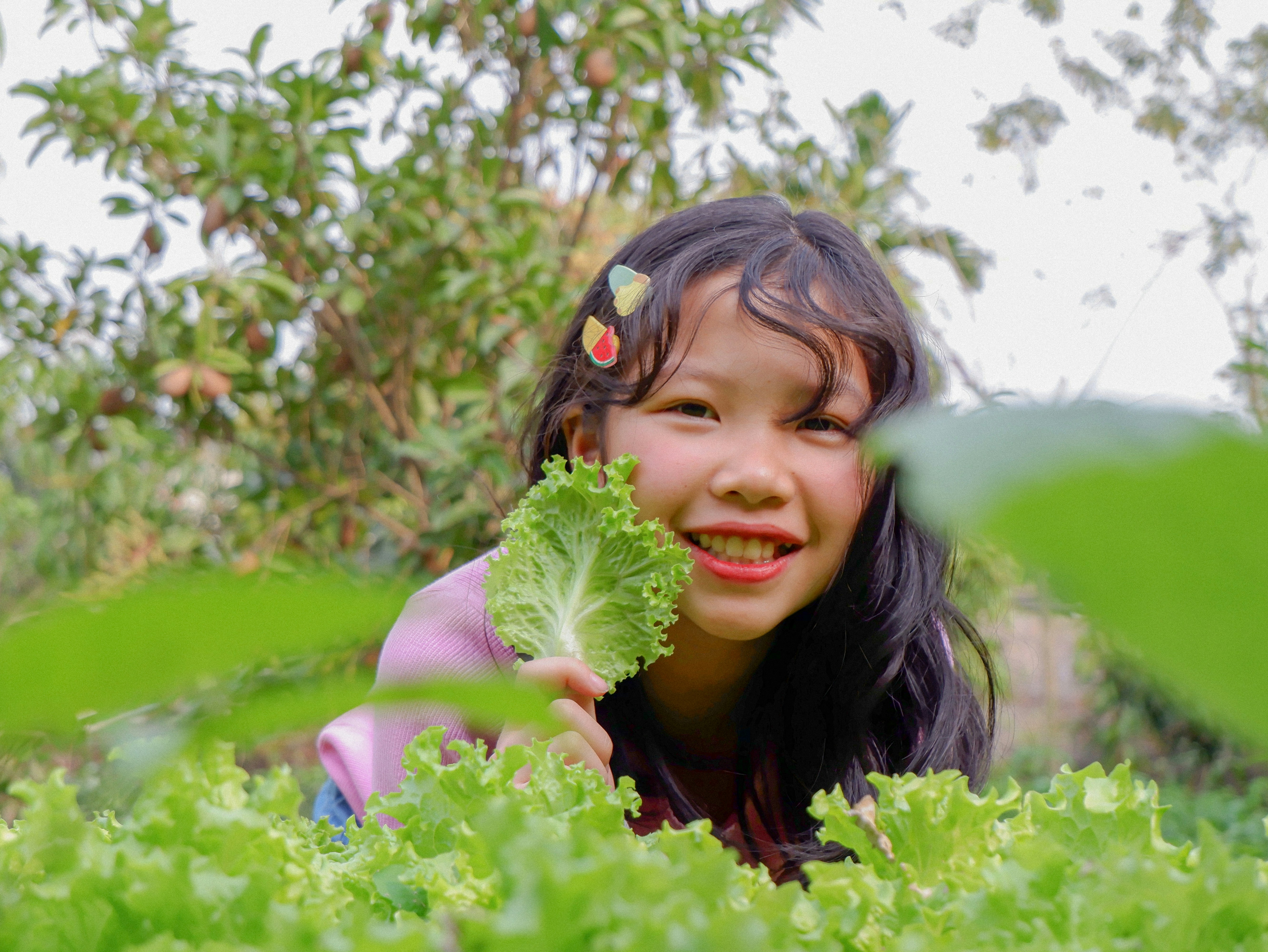 a little girl holding a leaf of lettuce photo Free Human Image on