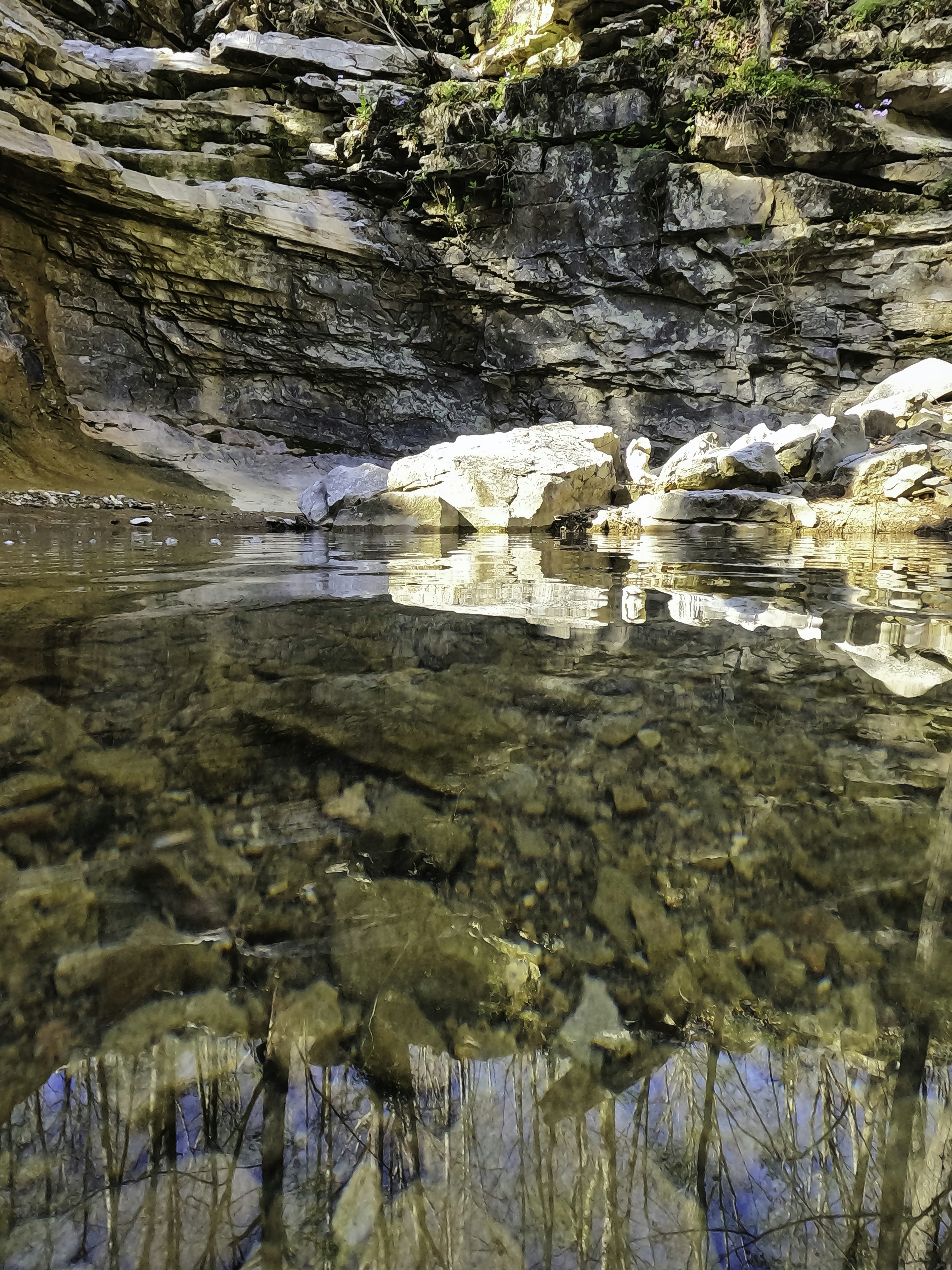 Photo by david_young