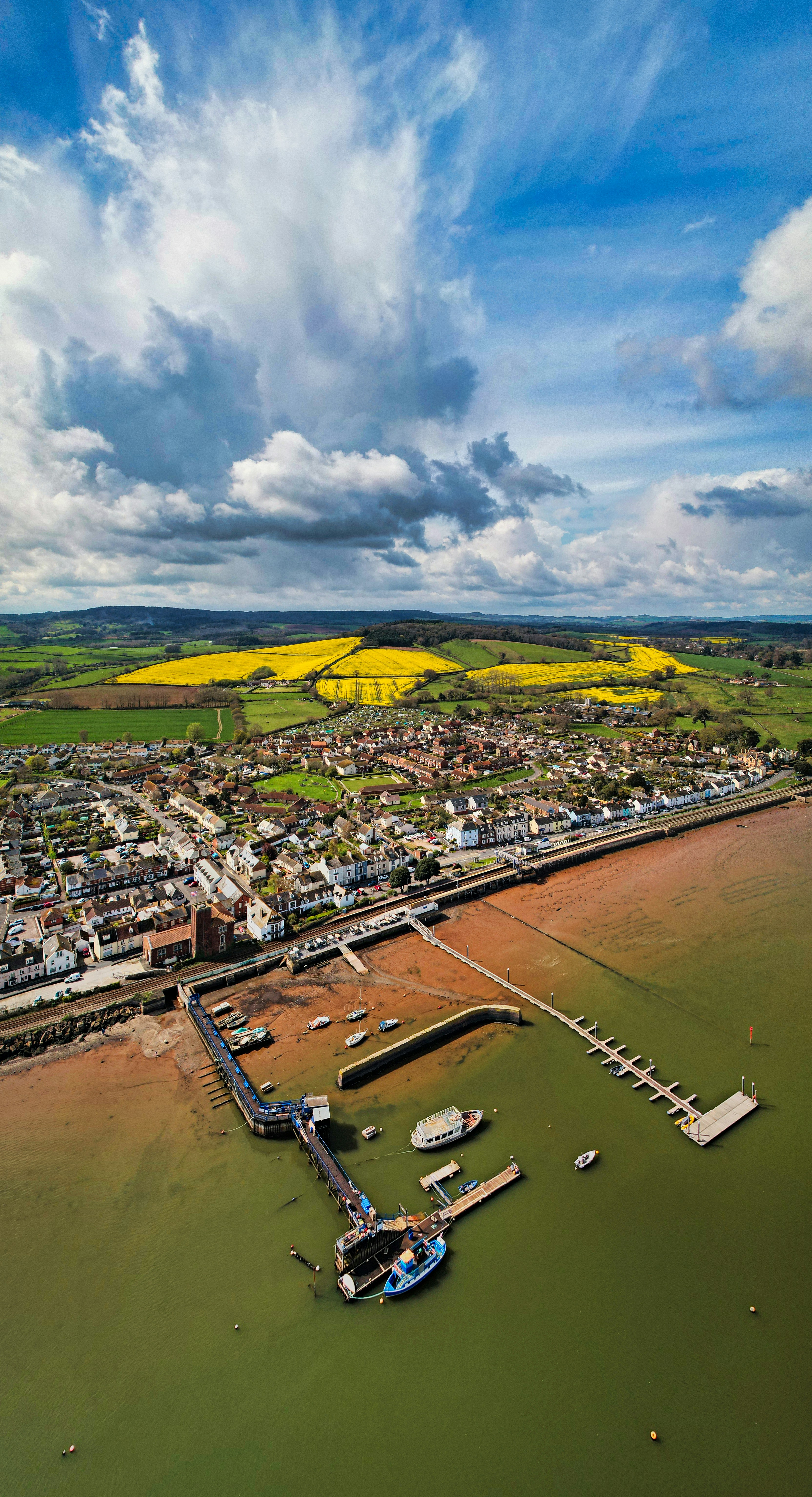 Drone shot of a sunflower field.