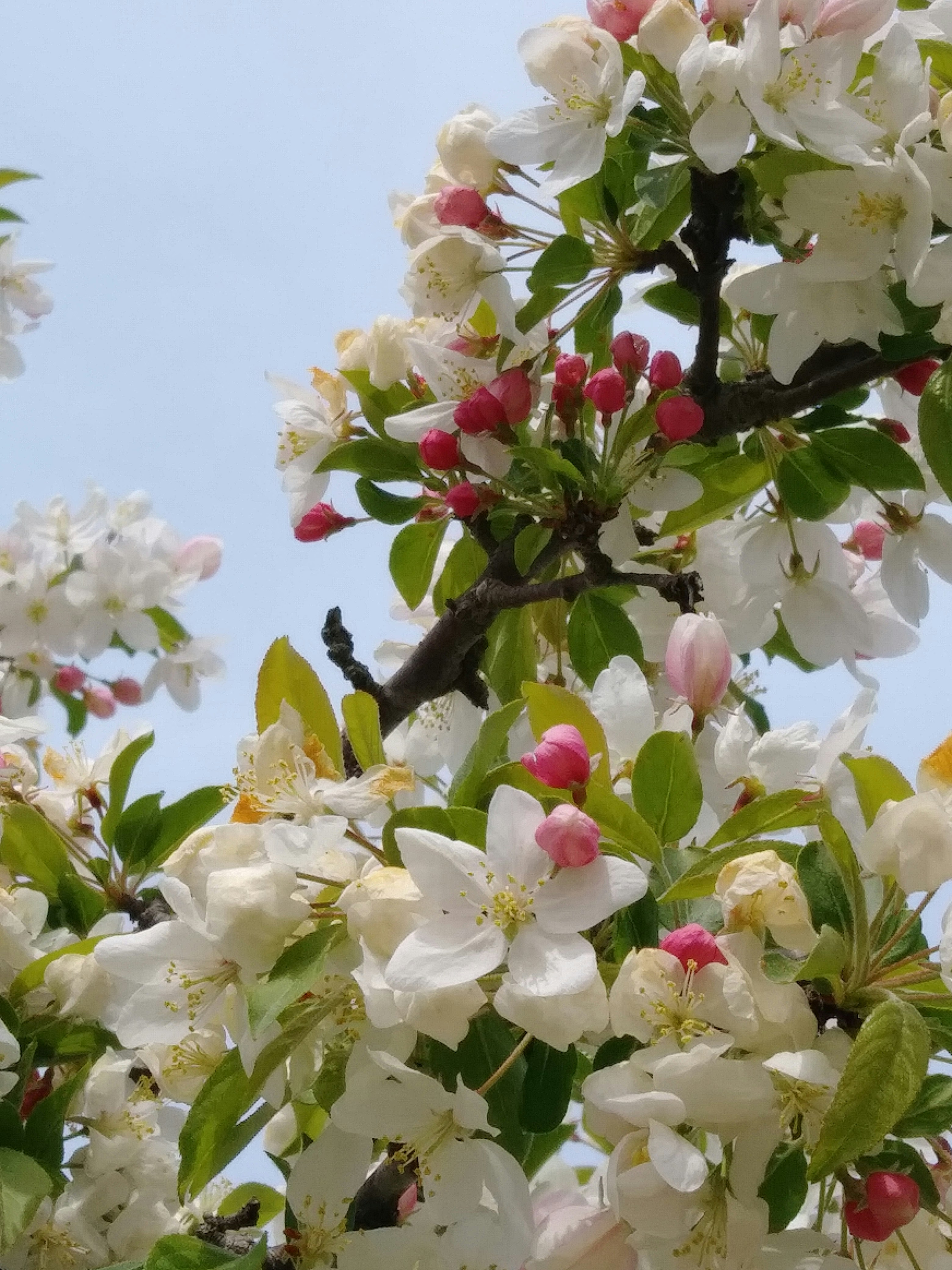 Photo by karolinabobek