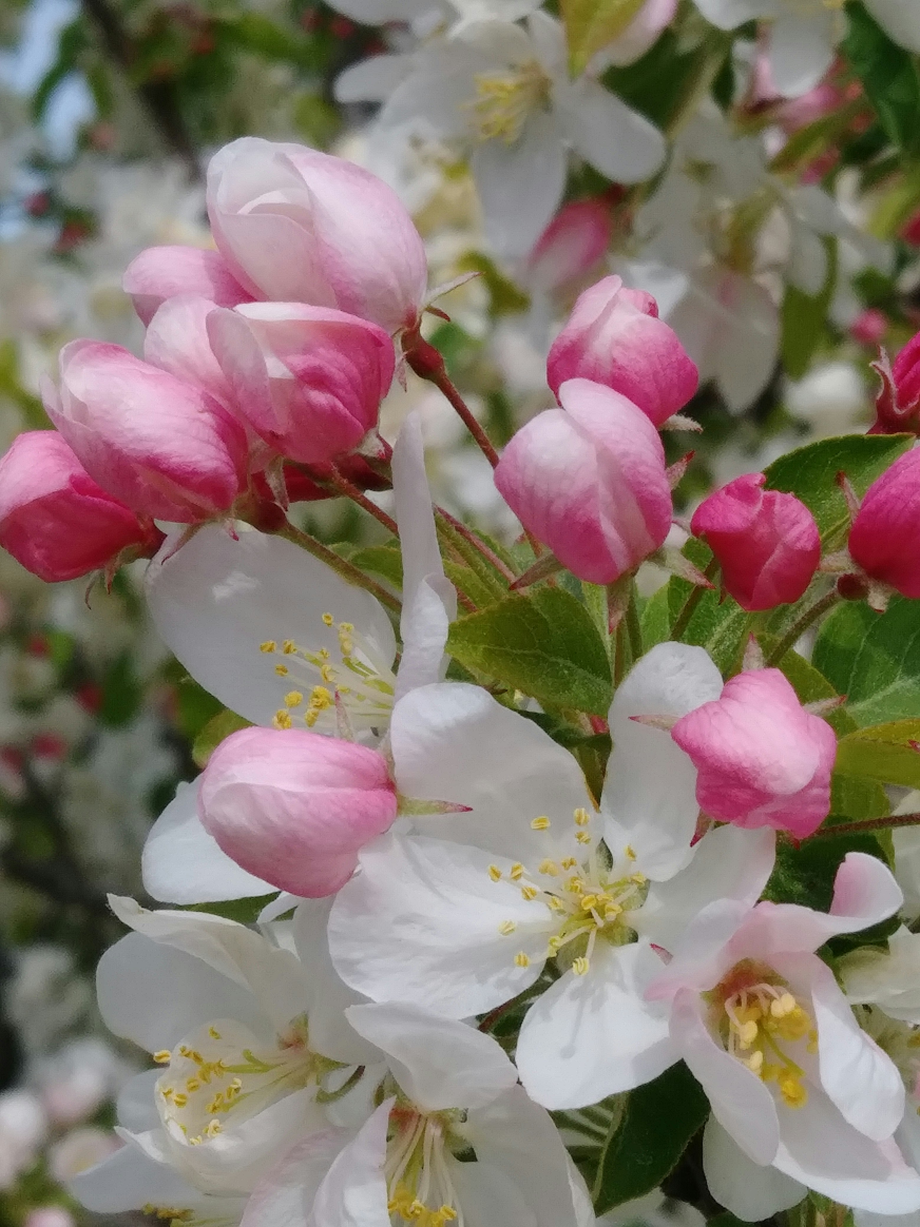 Photo by karolinabobek