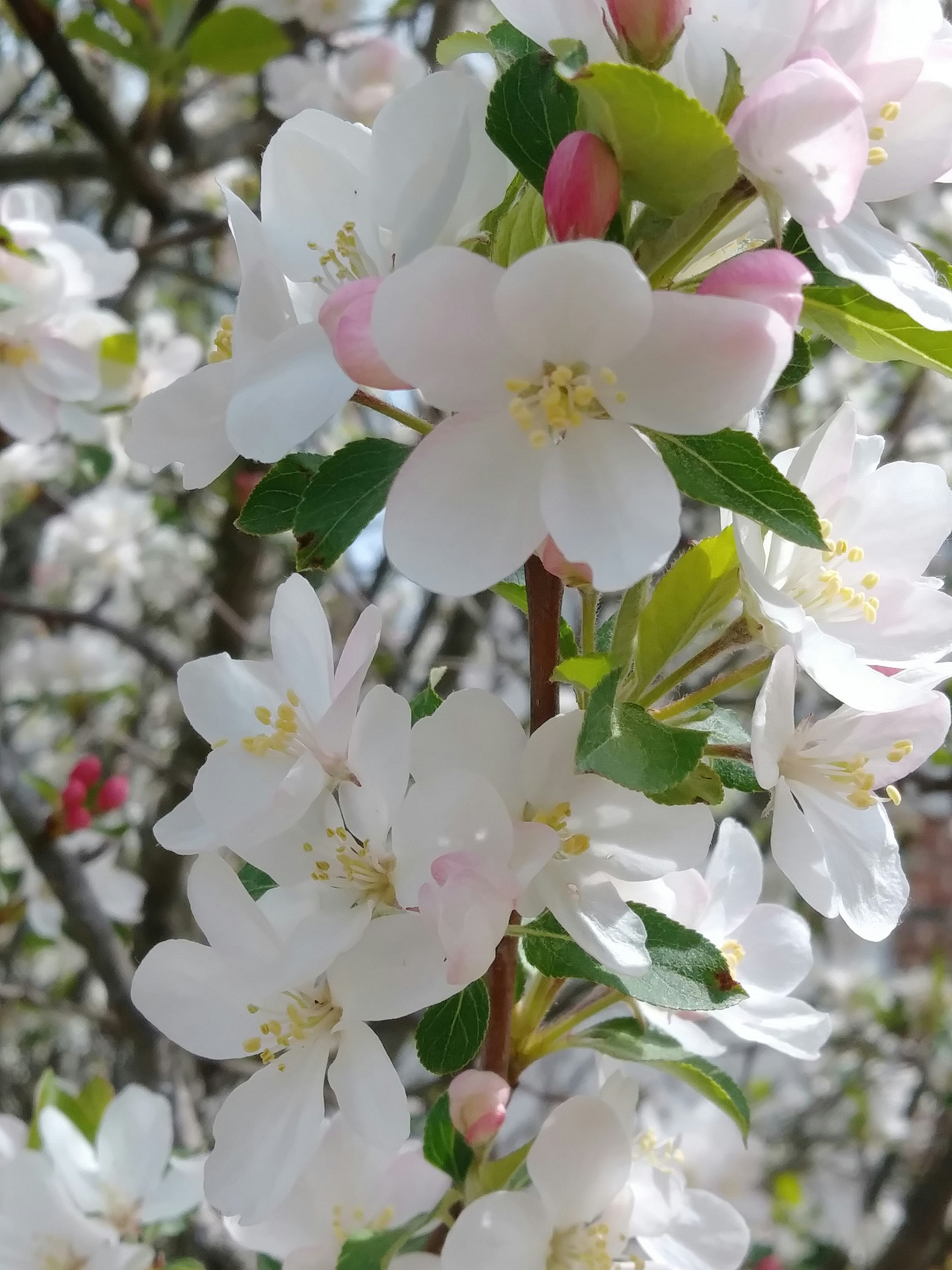 Photo by karolinabobek