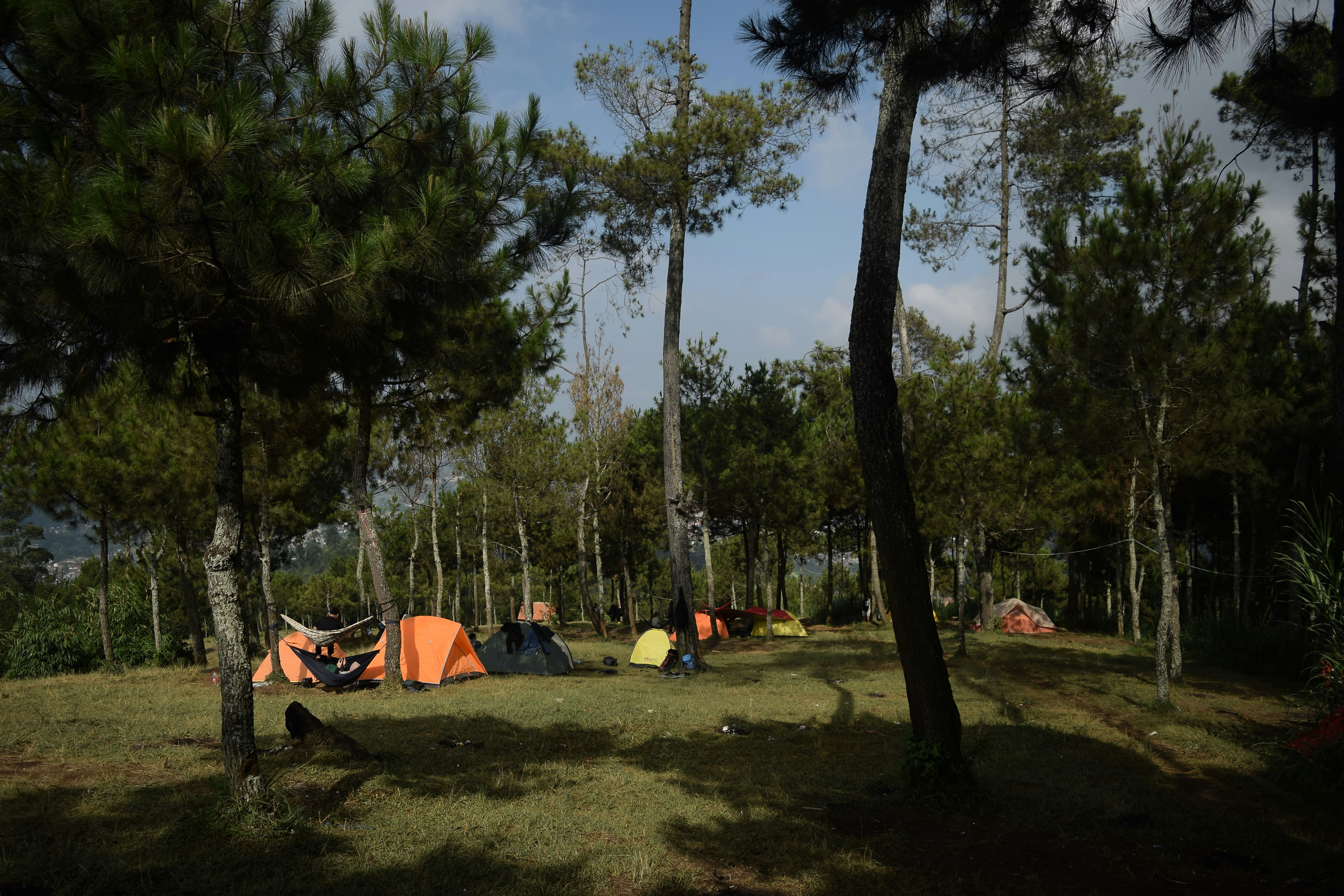a group of tents set up in the woods