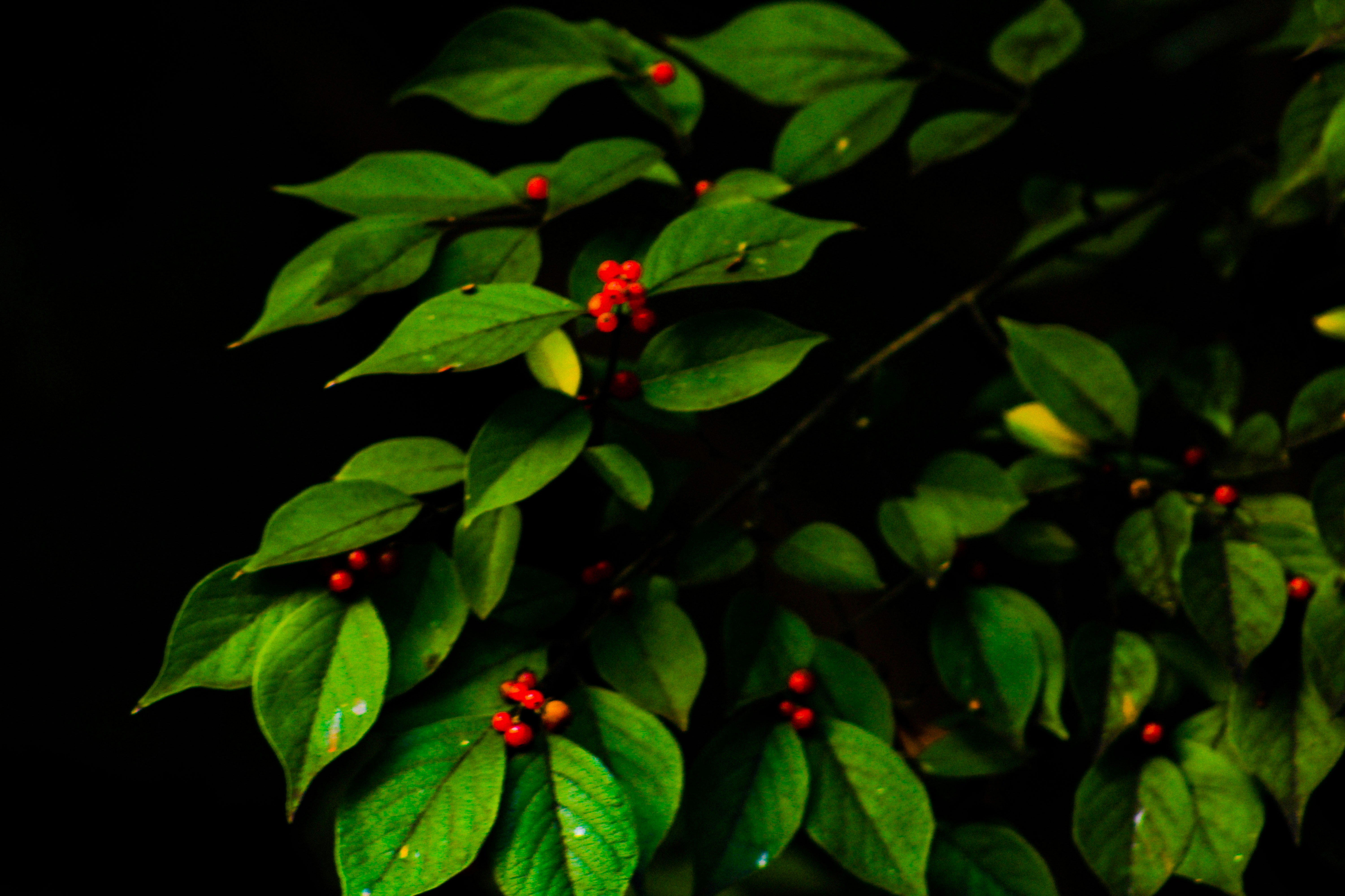 Photo by ashlynnephotos