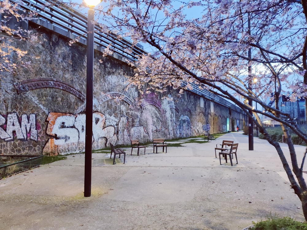 a park with benches and trees with graffiti on the wall