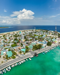 an aerial view of a small town by the ocean
