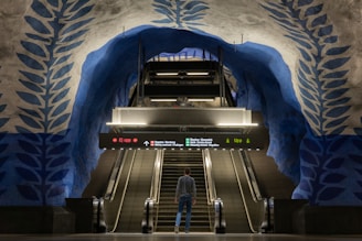 A person stands at the bottom of an escalator in a subway station. The station's walls and ceiling are painted with blue and white leaf patterns. Overhead signage displays directions in Swedish.