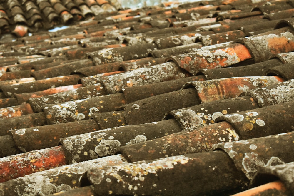 a bunch of old rusty pipes lined up together