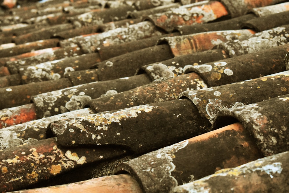 a close up of a bunch of rusty pipes