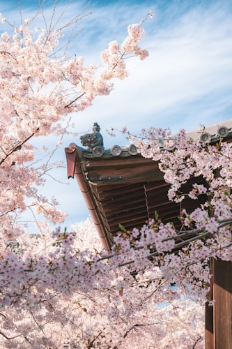 Tokyo arrival