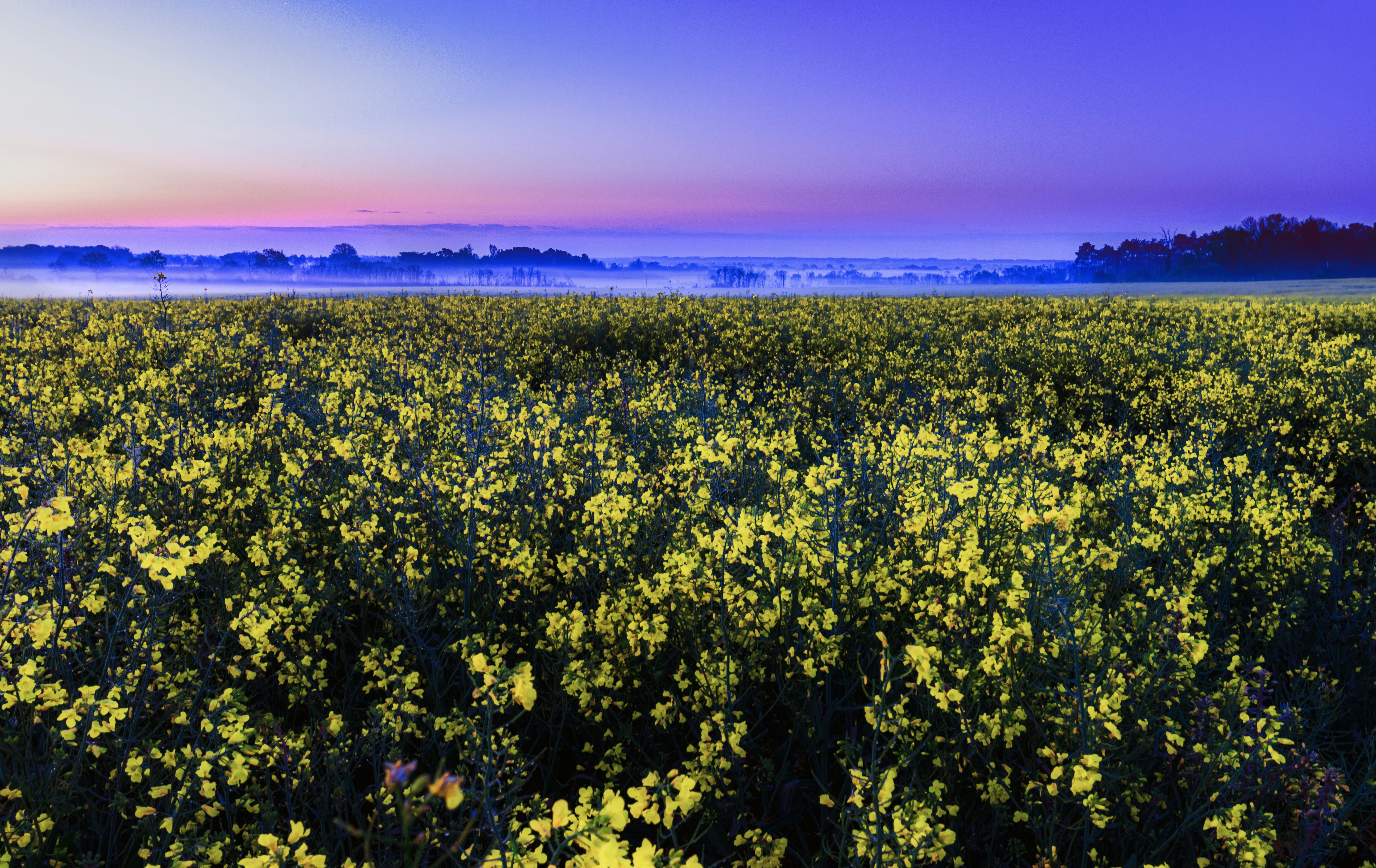 Photo by arizonanthony