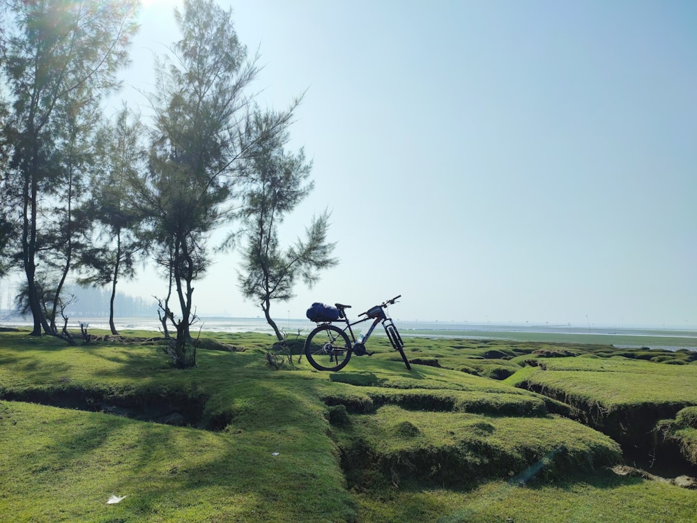 a bike parked in a grassy area next to a tree